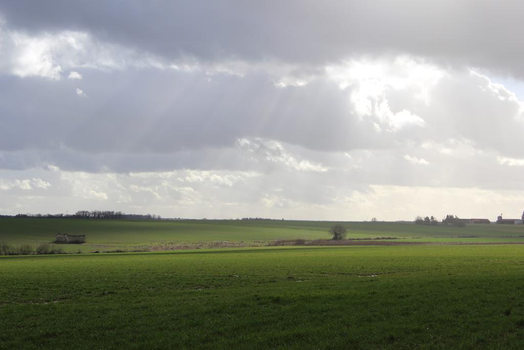 Gites A L'Ombre Des Chenes Châteauvieux Exterior photo